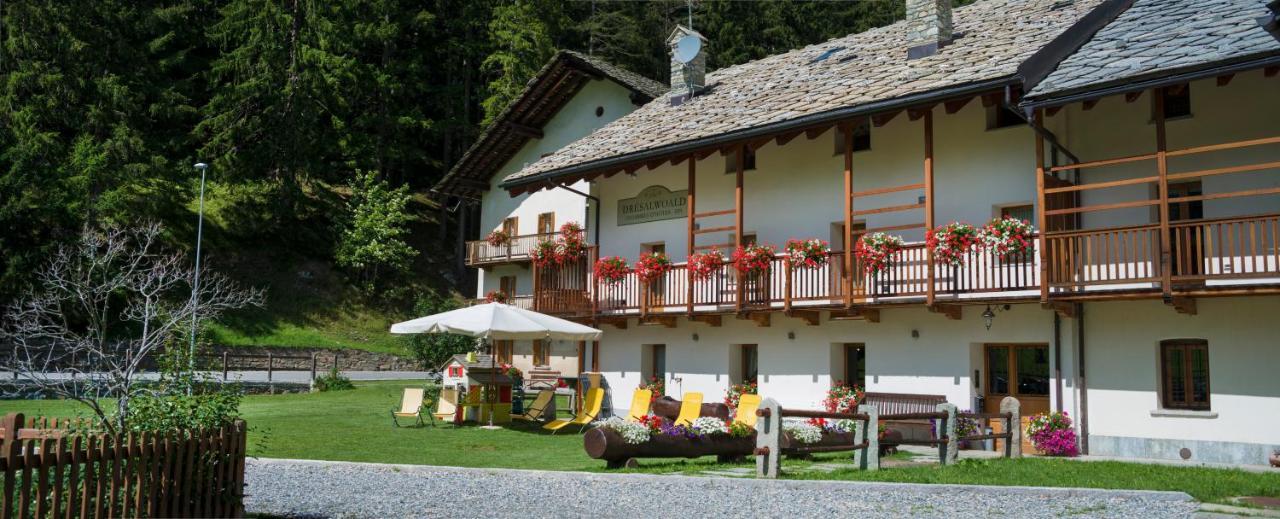 Dresalwoald Bed & Breakfast Gressoney-Saint-Jean Exterior photo